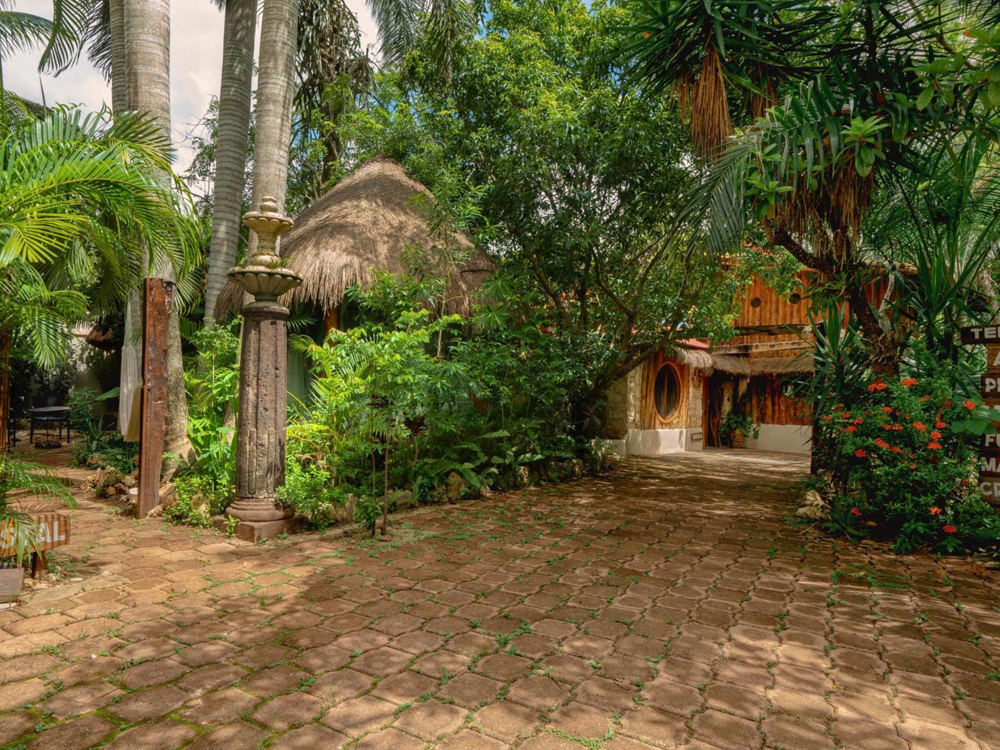 Oma Cancun - Holistic Healing Center Exterior photo